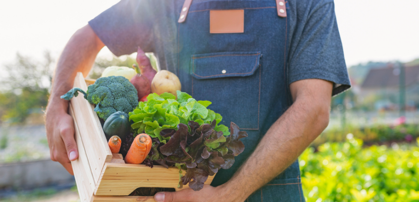 alimentos organicos