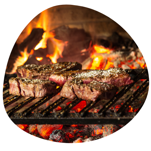 parrilla SAIPOS