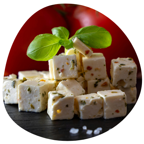 Queijo vegano SAIPOS